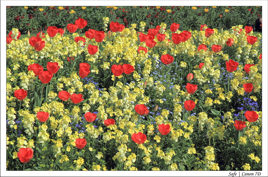 2011 - 04 - Londres 145